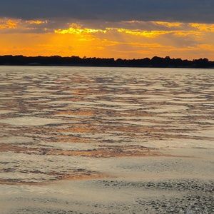 Meet your Posher, Glenn